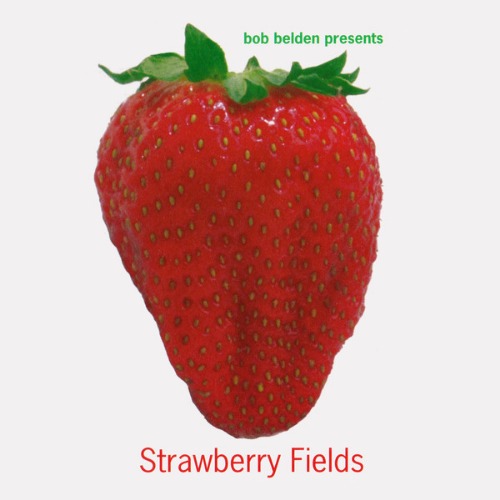 Strawberry Fields (Bob Belden Presents) 엘피뮤지엄