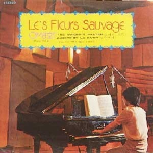 Piano Vol.2 (Le&#039;s Fleurs Sauvage) 엘피뮤지엄
