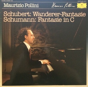 Schubert : Wandere Fantasie / Schumann : Fantasie In C 엘피뮤지엄