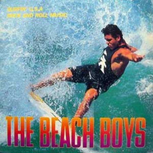 The Beach Boys 엘피뮤지엄