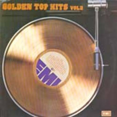 Golden Top Hits Vol.2 엘피뮤지엄