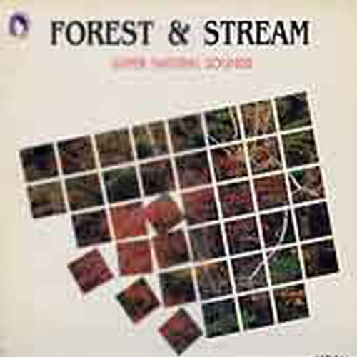 Forest &amp; Stream 엘피뮤지엄