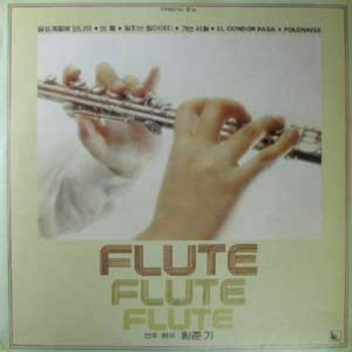 Flute,Flute, Flute 엘피뮤지엄
