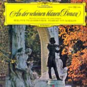 Strauss : Blue Danube Waltz / Bizet : &quot;Carmen&quot; Suite No.1 엘피뮤지엄